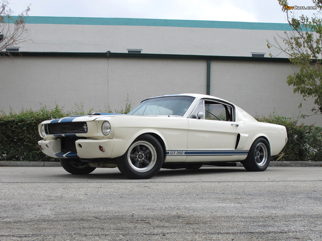Shelby GT350R 1966 wallpapers (1024 x 768)