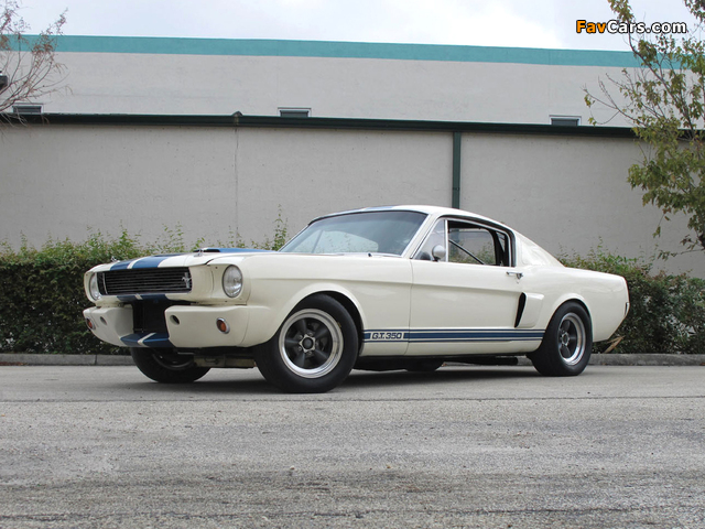 Shelby GT350R 1966 wallpapers (640 x 480)