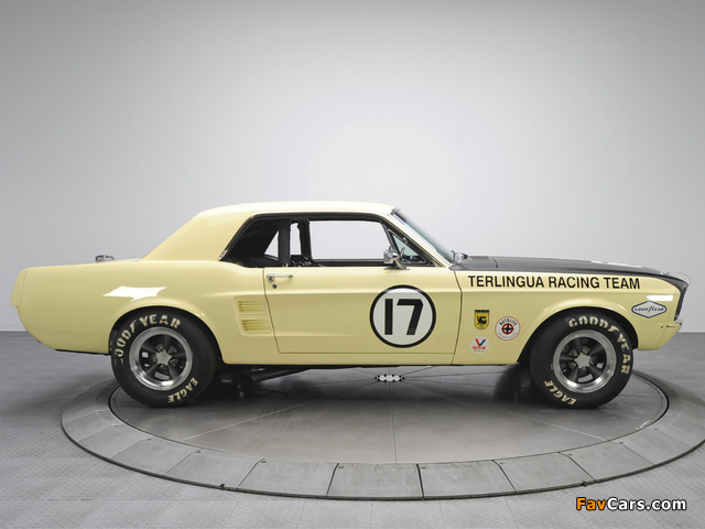 Mustang Coupe Race Car (65B) 1967 wallpapers (640 x 480)