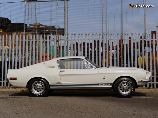 Shelby GT350 1968 wallpapers (640 x 480)
