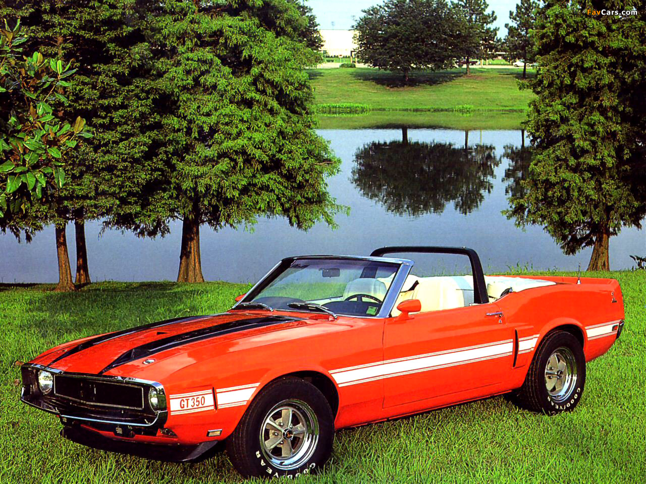 Shelby GT350 Convertible 1969 wallpapers (1280 x 960)
