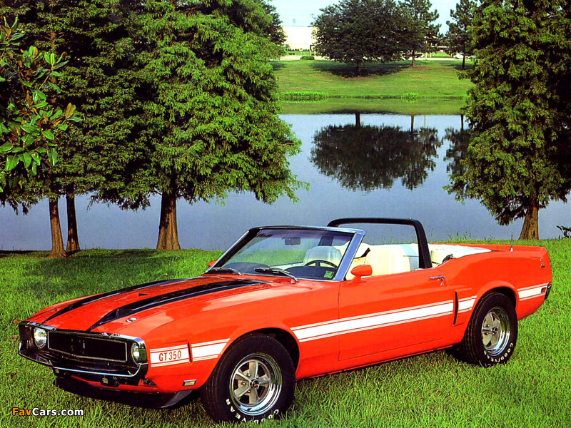 Shelby GT350 Convertible 1969 wallpapers (800 x 600)