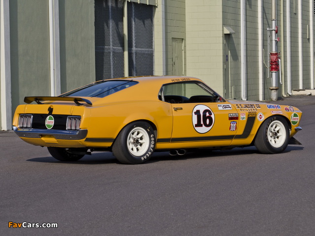 Mustang Boss 302 Trans-Am Race Car 1970 wallpapers (640 x 480)