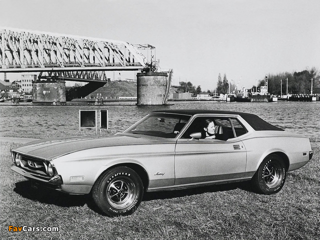 Mustang Grande Hardtop 1971 wallpapers (640 x 480)