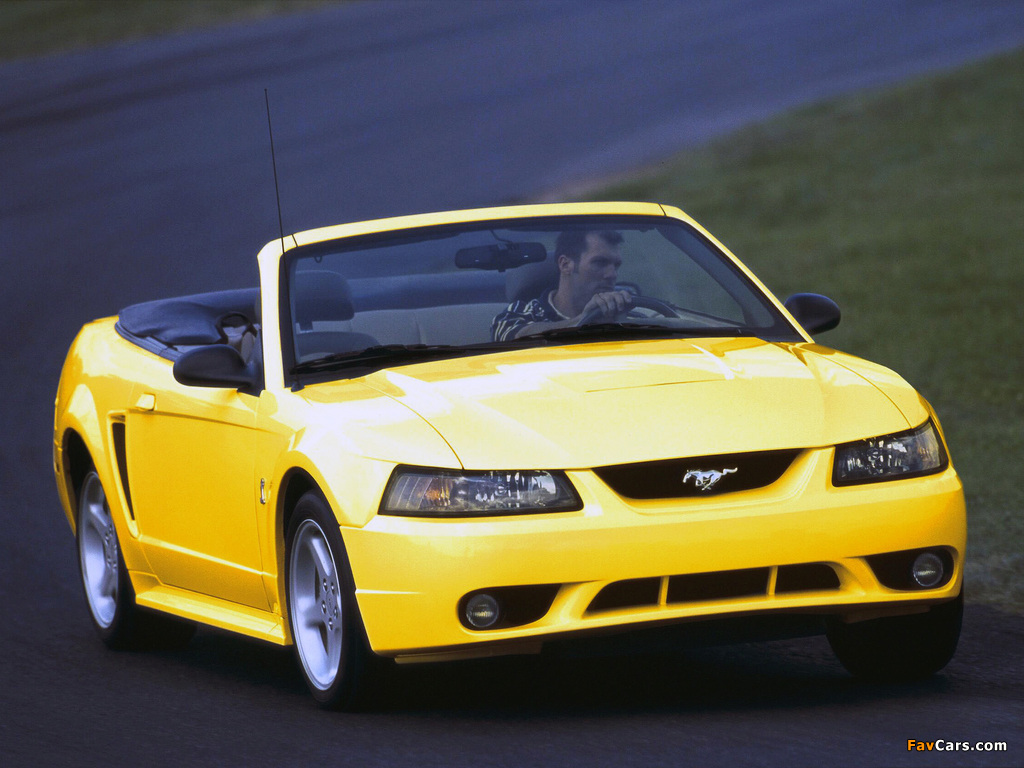 Mustang SVT Cobra Convertible 1999–2002 wallpapers (1024 x 768)