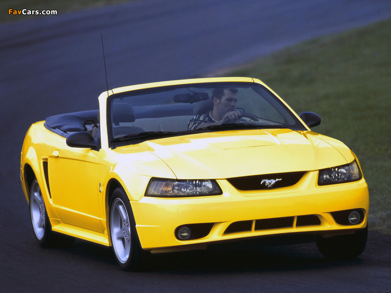 Mustang SVT Cobra Convertible 1999–2002 wallpapers (800 x 600)