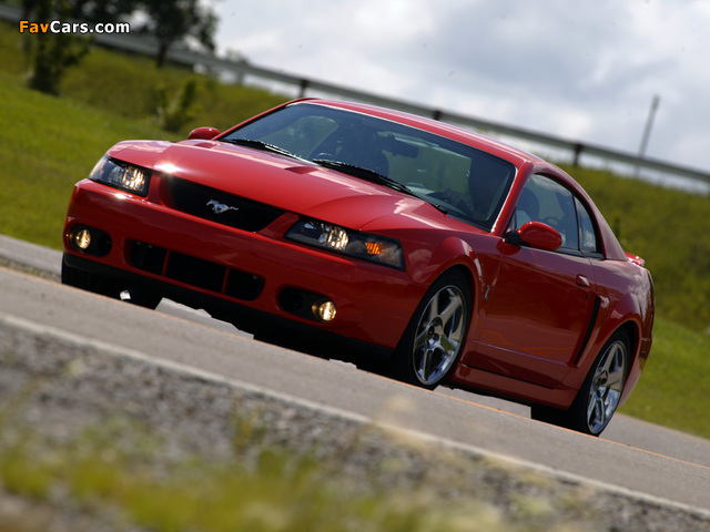 Mustang SVT Cobra Coupe 2004–05 wallpapers (640 x 480)