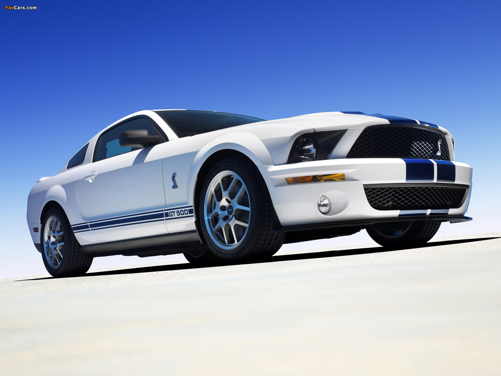 Shelby GT500 2005–08 wallpapers (1600 x 1200)