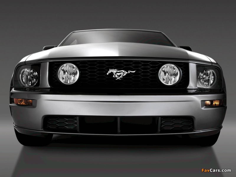 Mustang GT 2005–08 wallpapers (800 x 600)