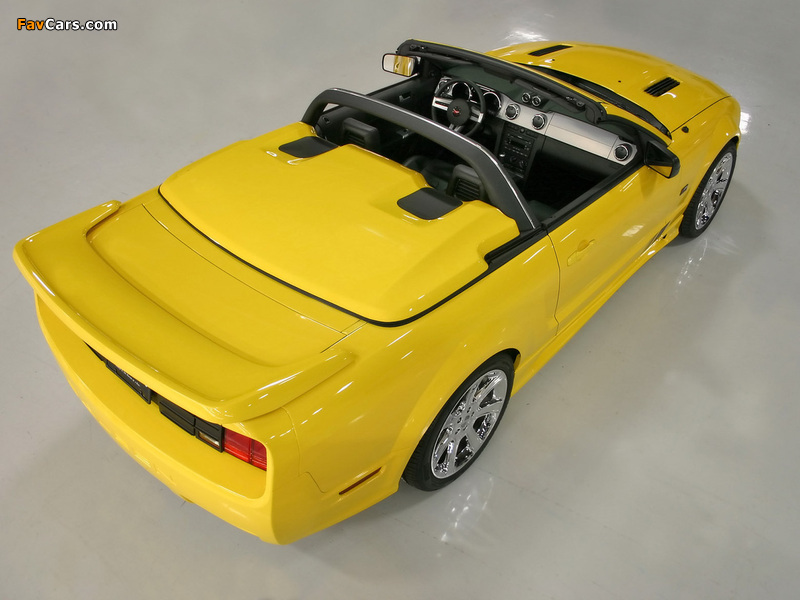 Saleen S281 Speedster 2006–08 wallpapers (800 x 600)