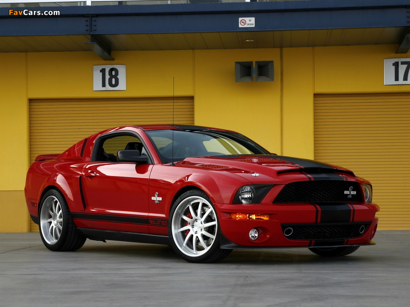 Shelby GT500 Super Snake 2008–10 wallpapers (800 x 600)