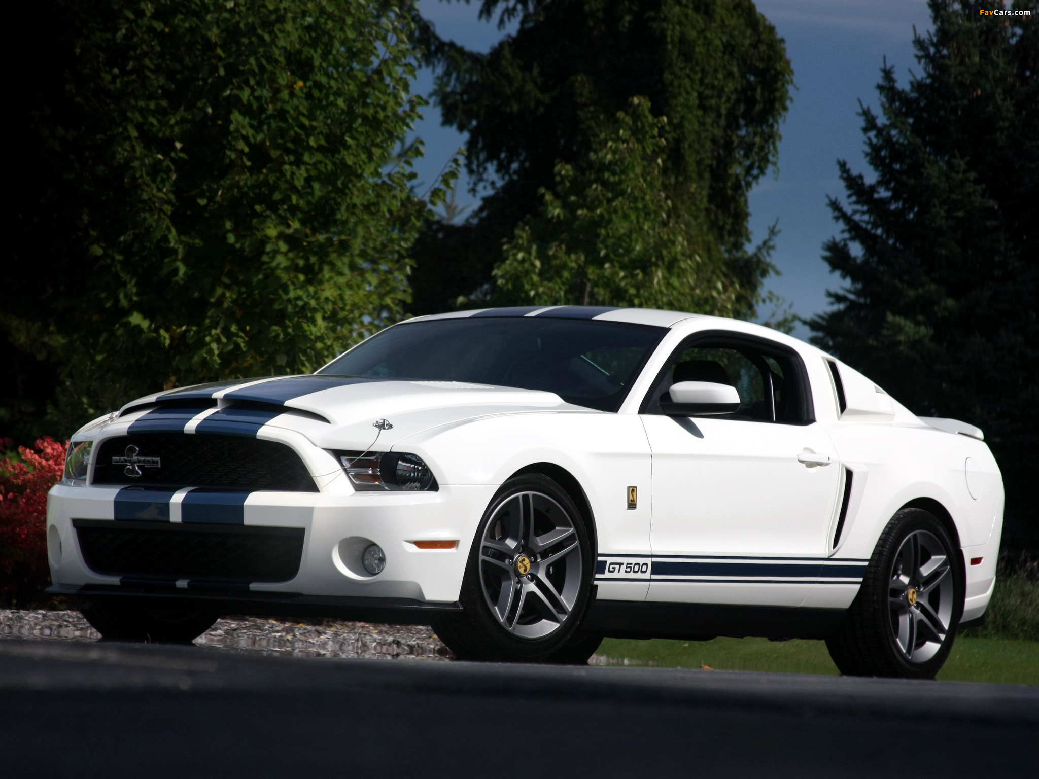 Shelby GT500 Patriot Edition 2009 wallpapers (2048 x 1536)