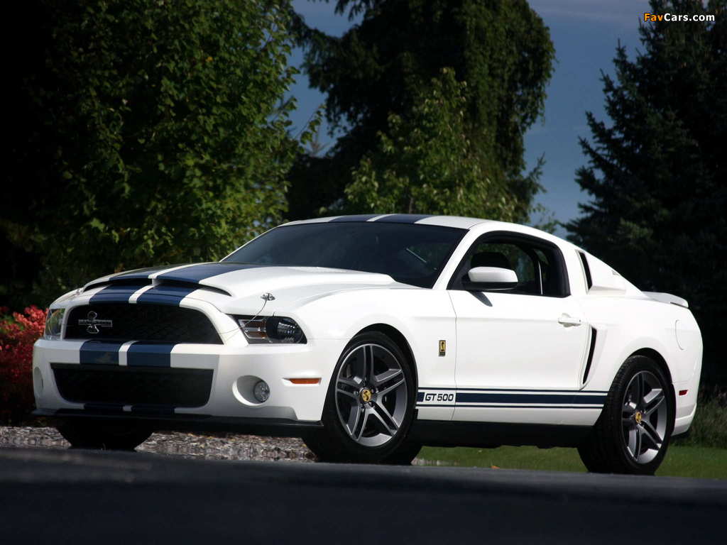 Shelby GT500 Patriot Edition 2009 wallpapers (1024 x 768)