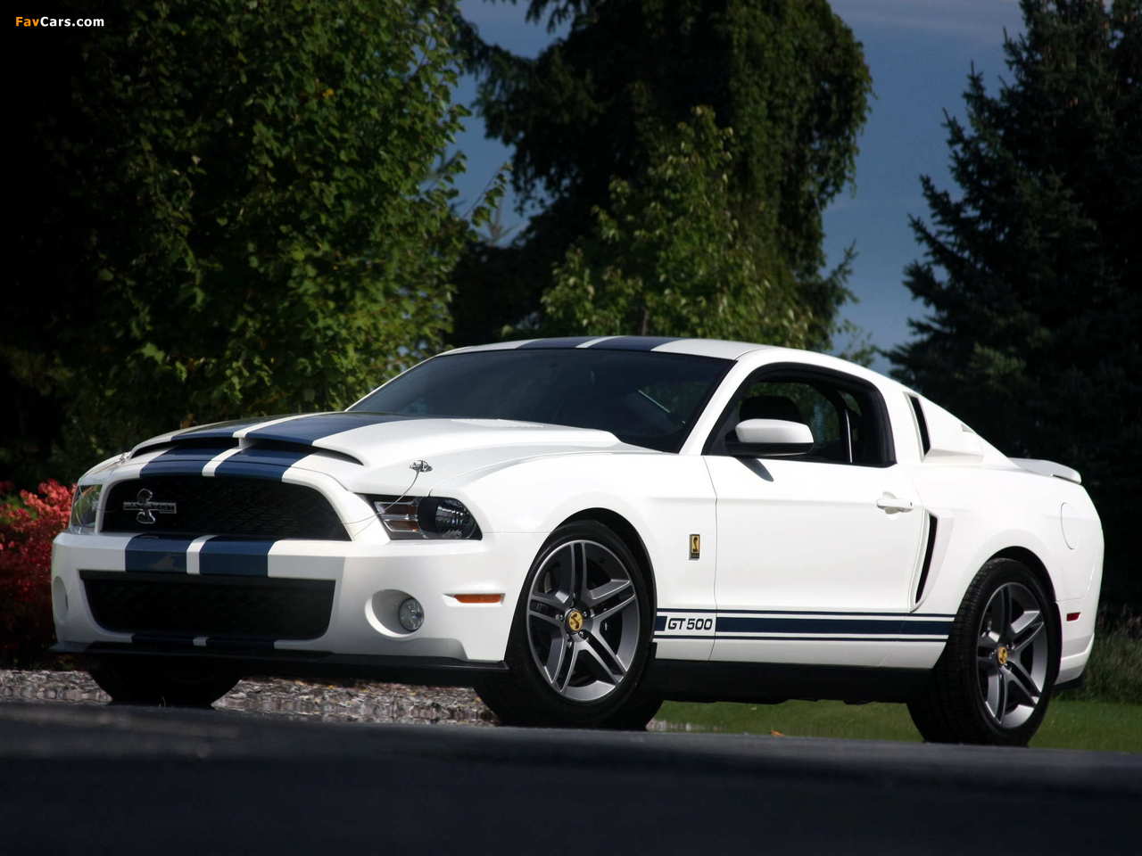 Shelby GT500 Patriot Edition 2009 wallpapers (1280 x 960)