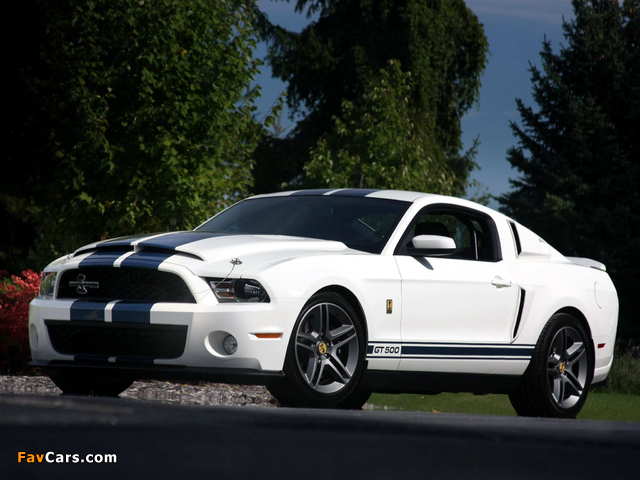 Shelby GT500 Patriot Edition 2009 wallpapers (640 x 480)
