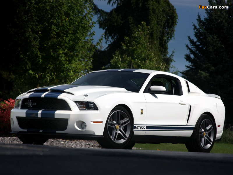 Shelby GT500 Patriot Edition 2009 wallpapers (800 x 600)