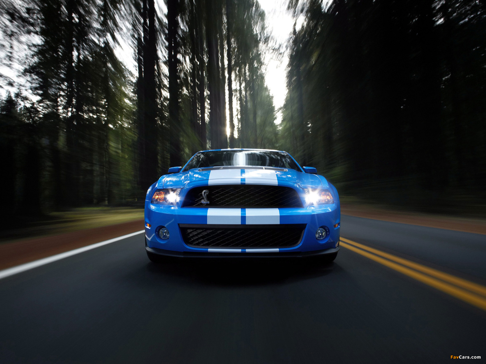 Shelby GT500 2009–10 wallpapers (1600 x 1200)
