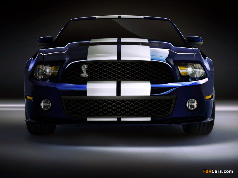 Shelby GT500 2009–10 wallpapers (800 x 600)