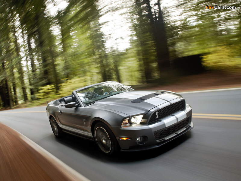 Shelby GT500 Convertible SVT 2009–10 wallpapers (800 x 600)