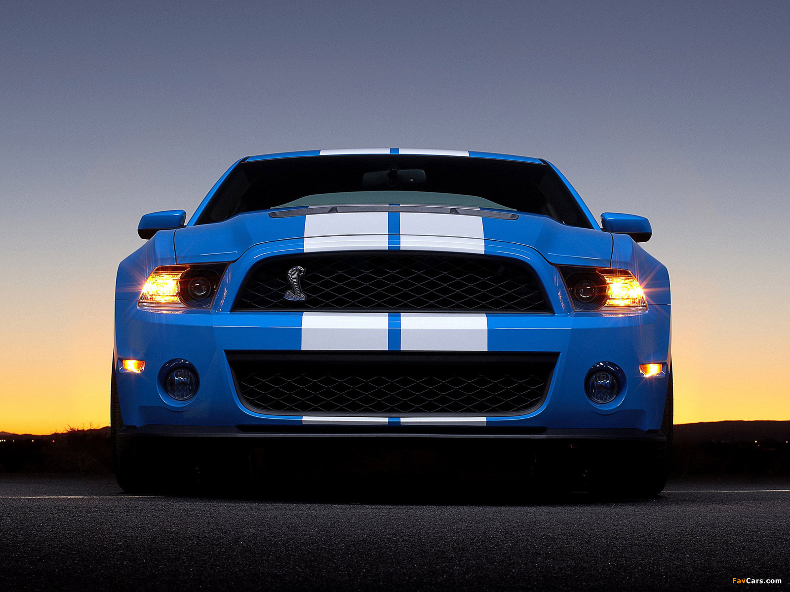 Shelby GT500 2009–10 wallpapers (1600 x 1200)
