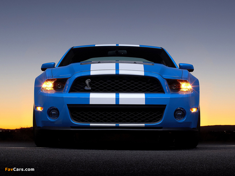 Shelby GT500 2009–10 wallpapers (800 x 600)