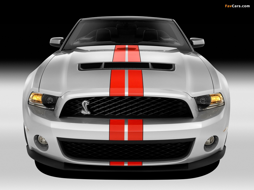Shelby GT500 SVT Convertible 2010–12 wallpapers (1024 x 768)