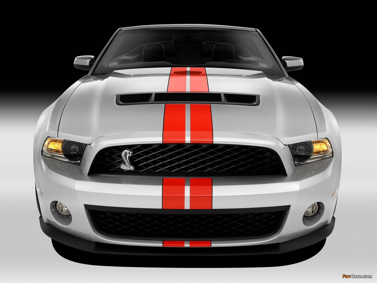 Shelby GT500 SVT Convertible 2010–12 wallpapers (1280 x 960)