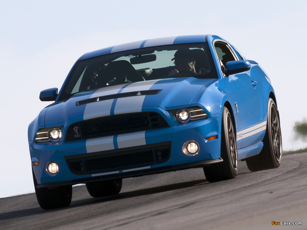 Shelby GT500 SVT 2012 wallpapers (1024 x 768)