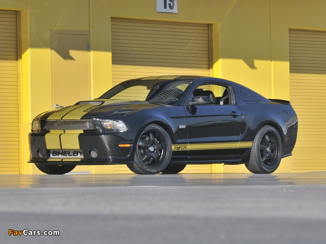 Shelby GT350 50th Anniversary 2012 wallpapers (640 x 480)