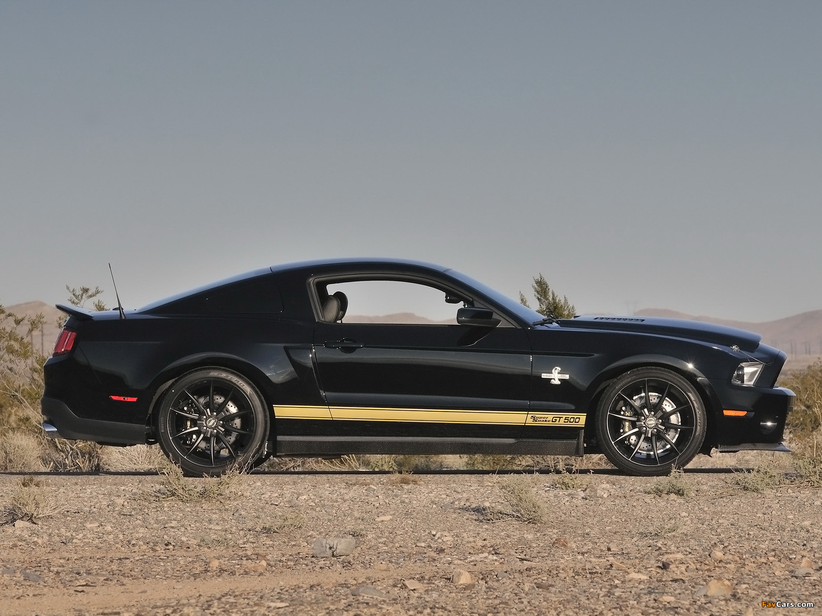 Shelby GT500 Super Snake 50th Anniversary 2012 wallpapers (1600 x 1200)