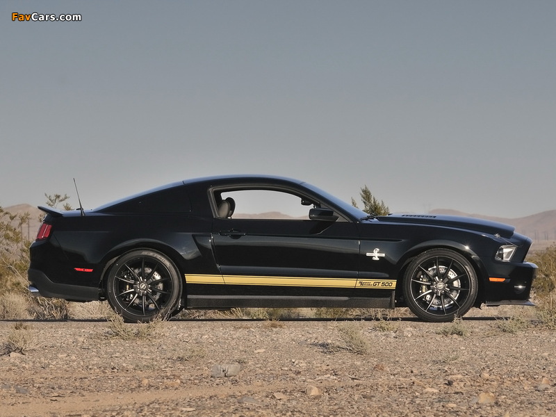 Shelby GT500 Super Snake 50th Anniversary 2012 wallpapers (800 x 600)