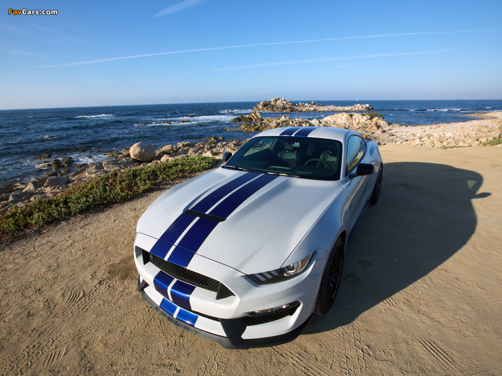 Shelby GT350 Mustang 2015 wallpapers (1024 x 768)