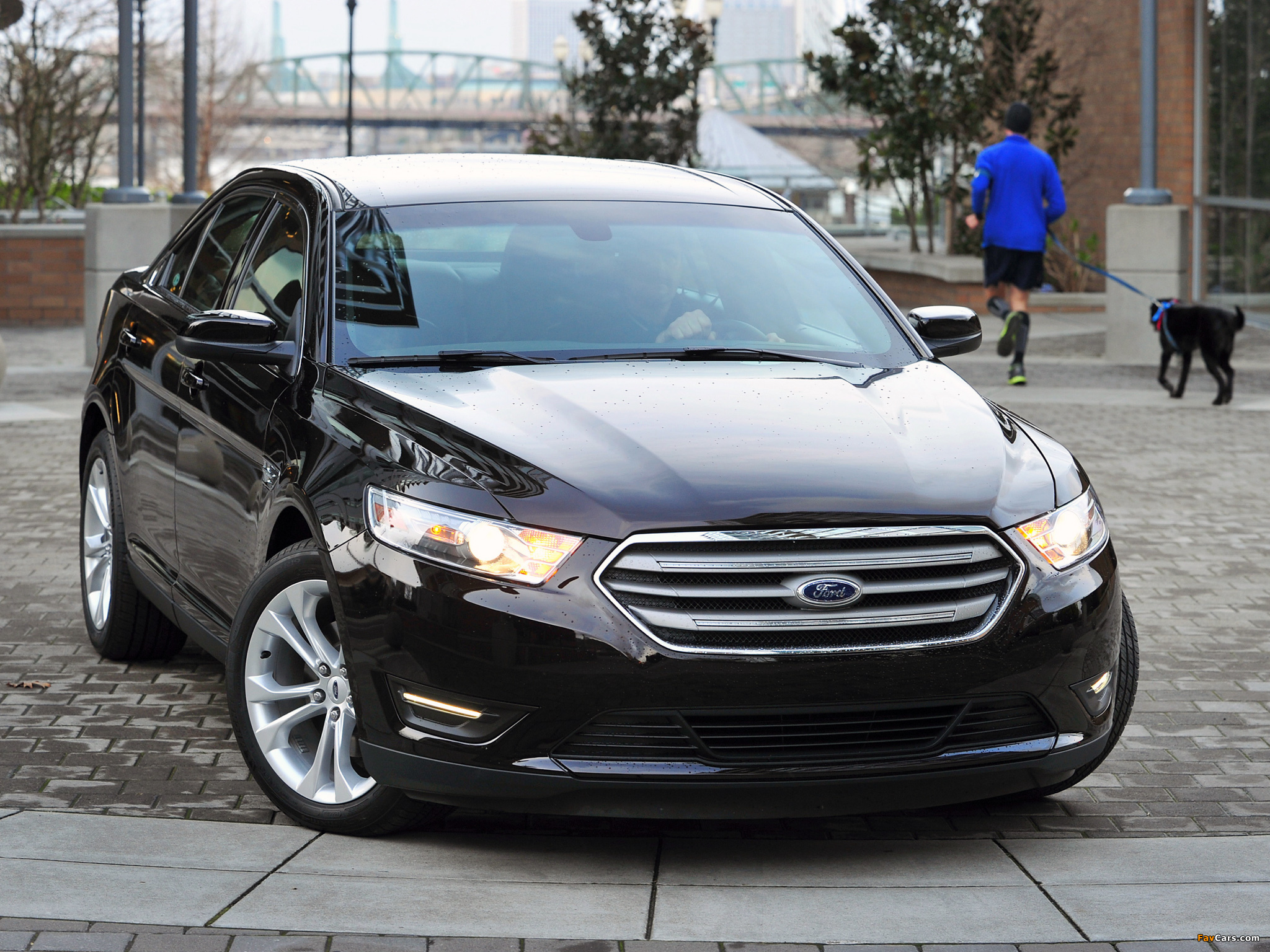 Photos of Ford Taurus 2011 (2048 x 1536)