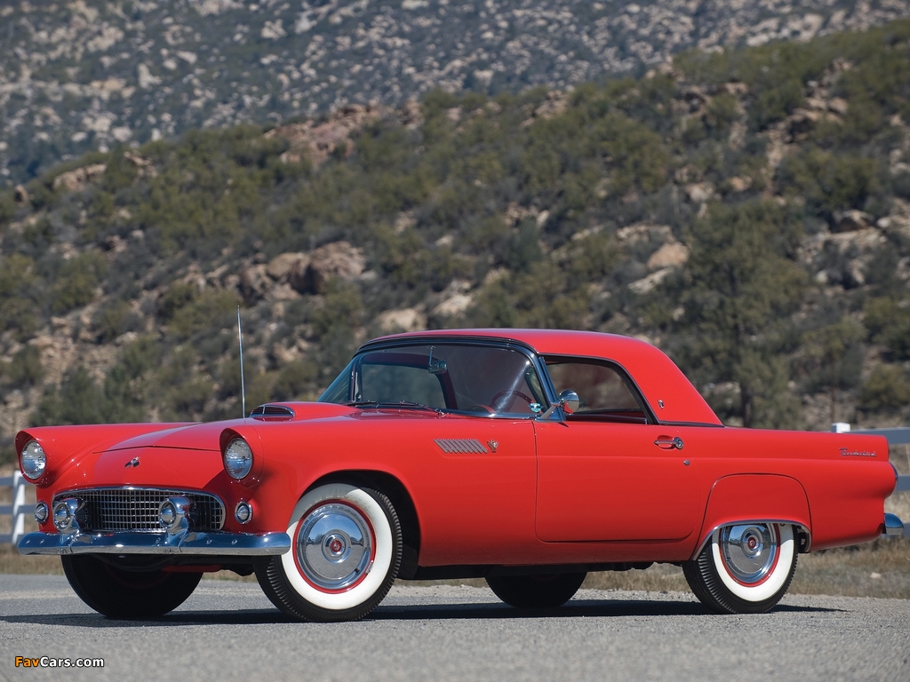 Ford Thunderbird 1955 images (1024 x 768)