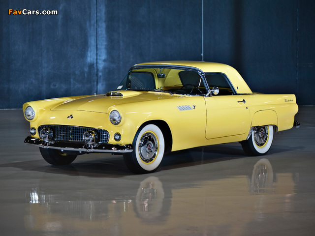 Ford Thunderbird 1955 pictures (640 x 480)