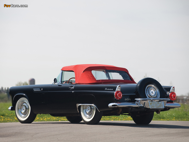 Ford Thunderbird 1956 images (800 x 600)
