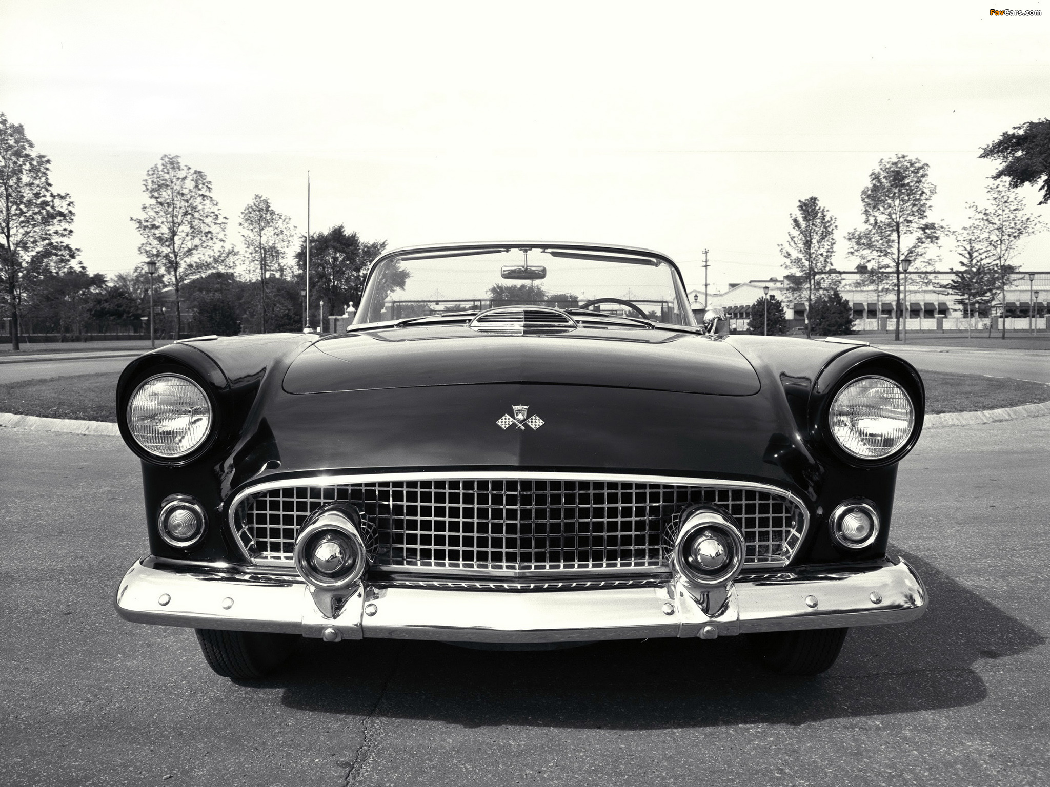 Ford Thunderbird 1956 pictures (2048 x 1536)