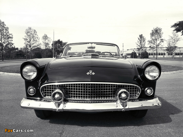 Ford Thunderbird 1956 pictures (640 x 480)