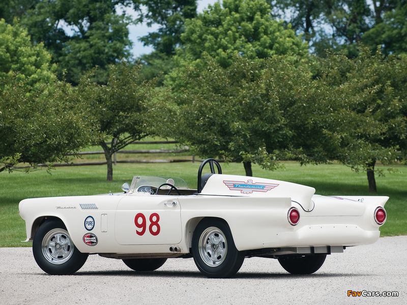 Ford Thunderbird Experimental Race Car 1957 pictures (800 x 600)