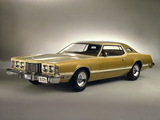 Ford Thunderbird 1976 images