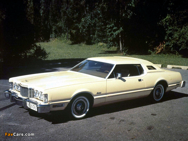 Ford Thunderbird 1976 pictures (640 x 480)