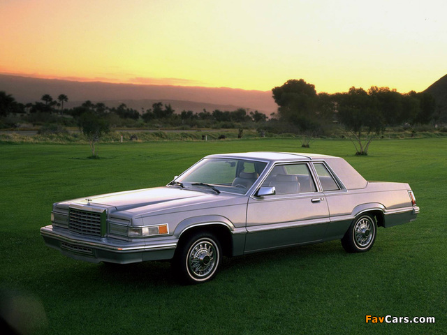 Ford Thunderbird 1980 images (640 x 480)