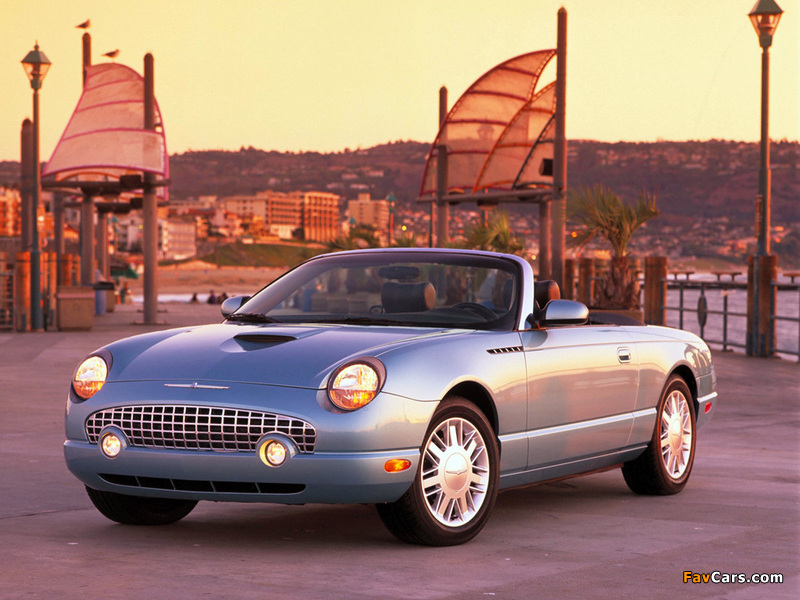 Ford Thunderbird 2002–05 images (800 x 600)