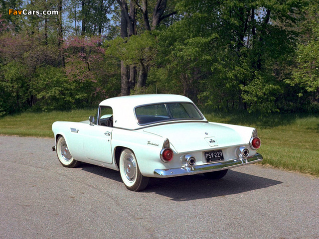 Images of Ford Thunderbird 1955 (640 x 480)