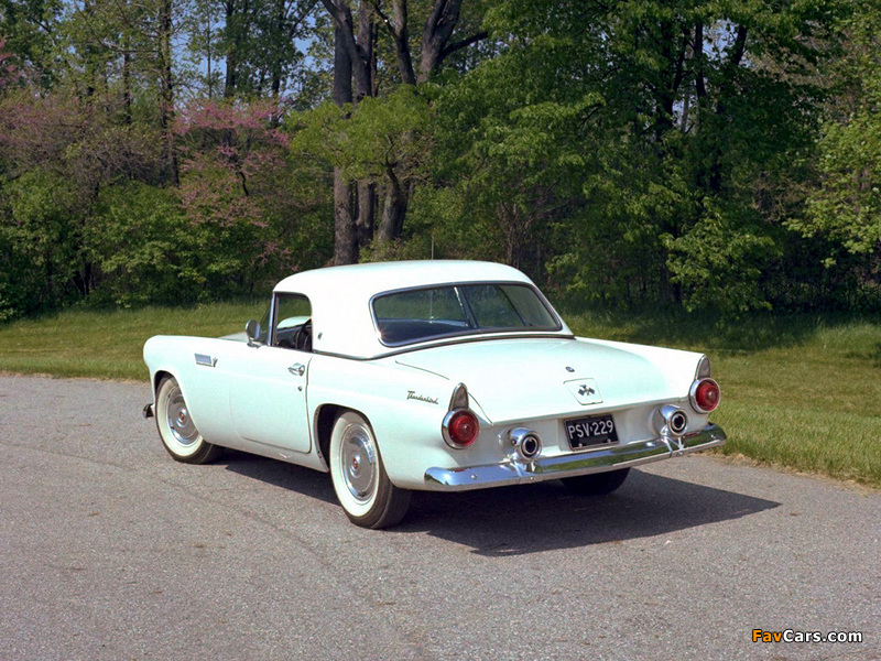 Images of Ford Thunderbird 1955 (800 x 600)