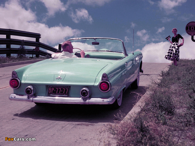 Images of Ford Thunderbird 1955 (640 x 480)
