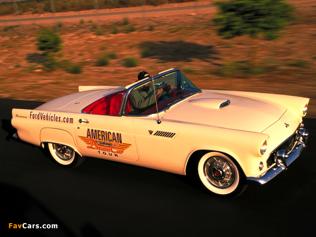 Images of Ford Thunderbird 1956 (640 x 480)