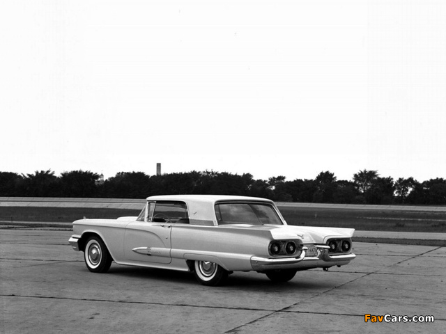 Images of Ford Thunderbird 1959 (640 x 480)