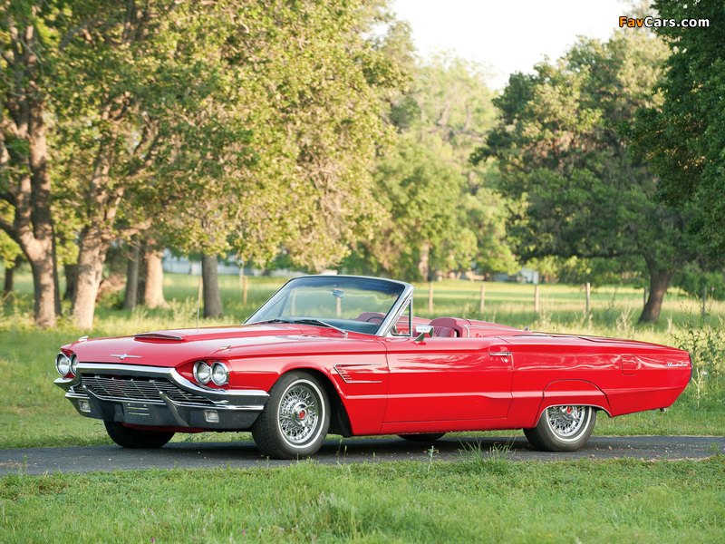 Images of Ford Thunderbird 1964–66 (800 x 600)