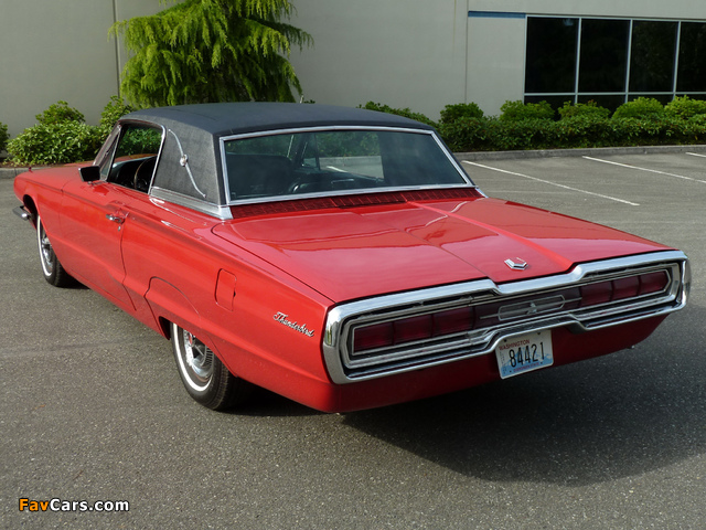 Images of Ford Thunderbird Town Landau Coupe (63D) 1966 (640 x 480)